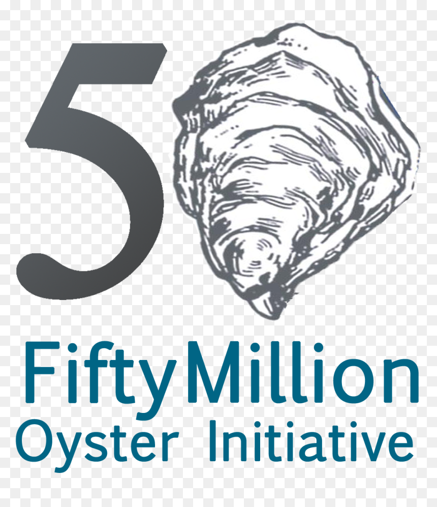 Transparent Oysters Png - Conch, Png Download - oysters png
