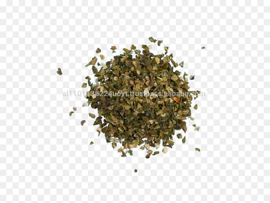 Trachyspermum Ammi, HD Png Download - single green chilli png
