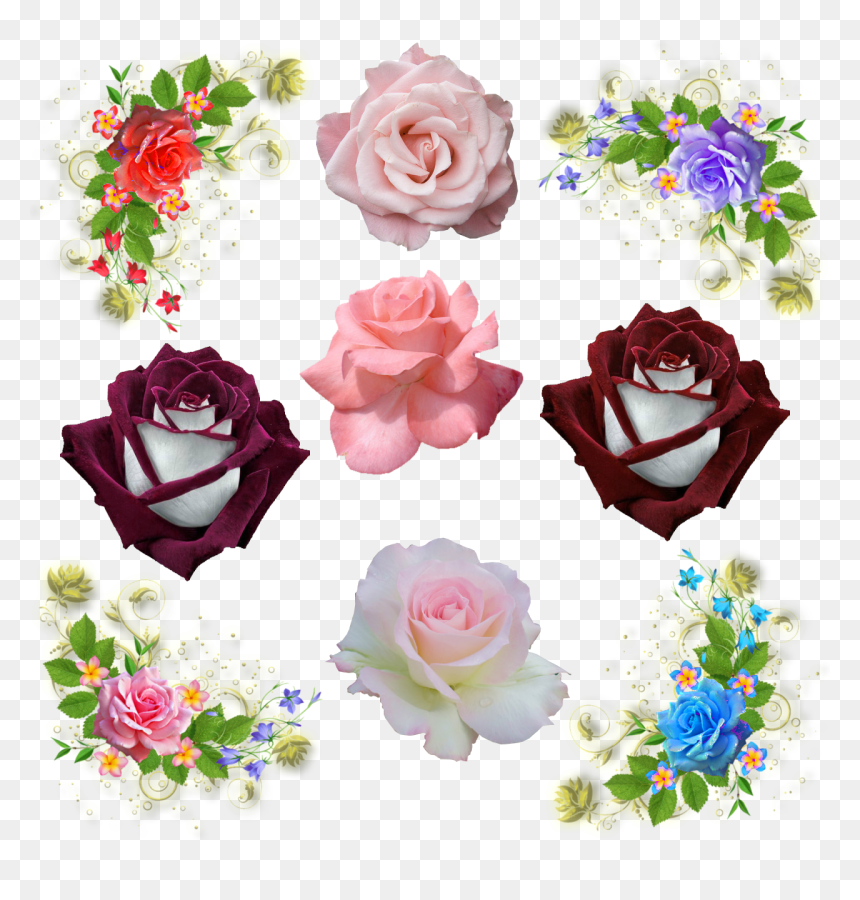 Garden Roses, HD Png Download - boquet png