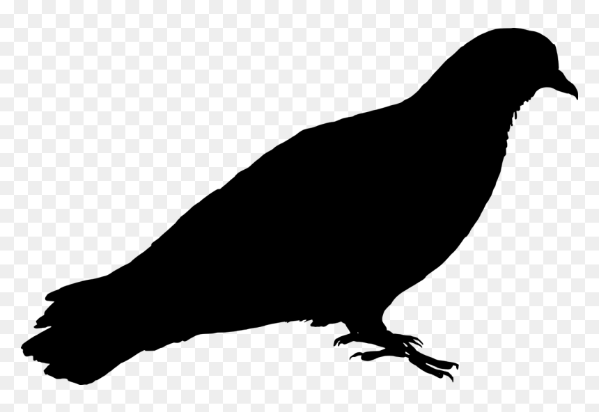 Pigeon Silhouette Png, Transparent Png - pigeon vector png
