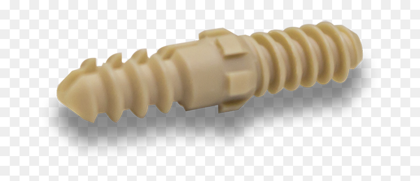 Invertebrate, HD Png Download - screw vector png