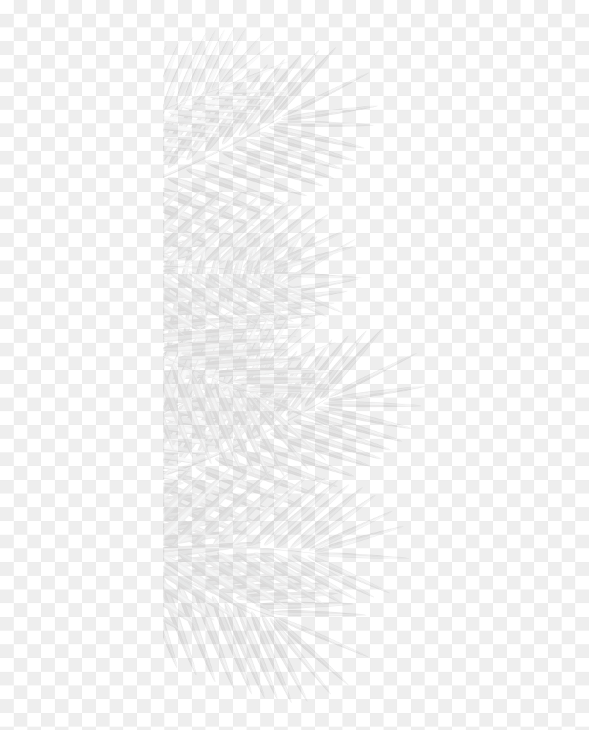 Left Img - Monochrome, HD Png Download - publix png