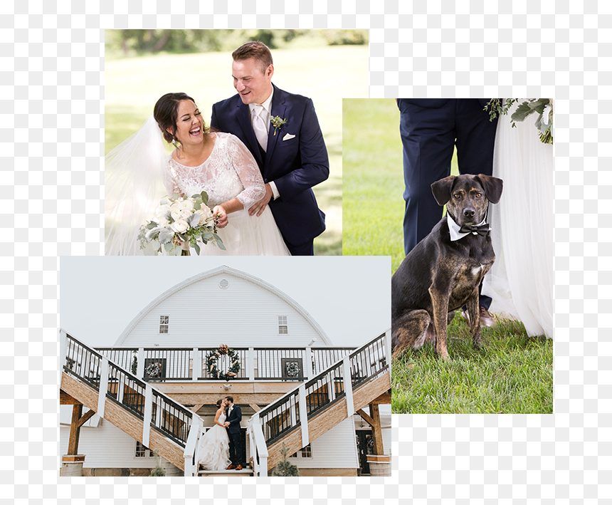 Wedding, HD Png Download - wedding couples png