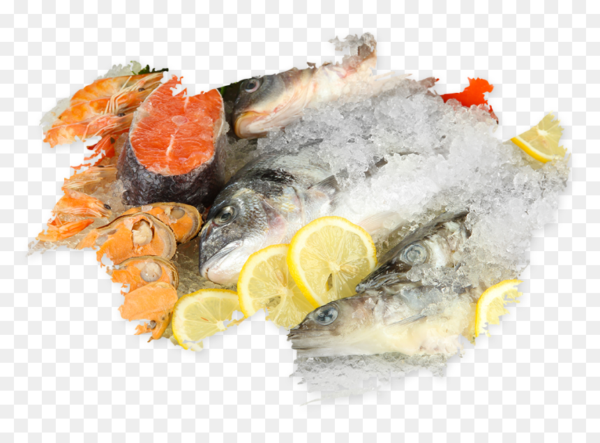 Oily Fish, HD Png Download - seafood png