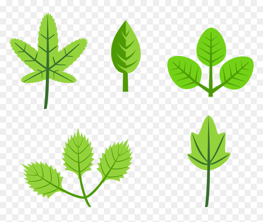 Fall Leaves Fall Leaf Clip Art Vectors Download Free - Leaves Clip Art, HD Png Download - animated tree png