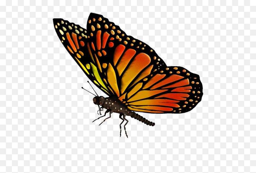 Flying Butterflies Transparent Png, Png Download - blue butterfly flying png