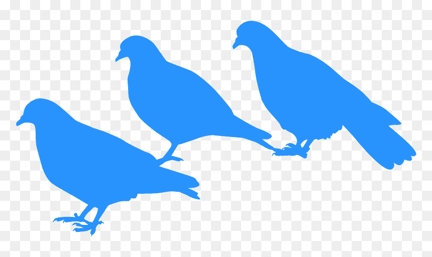 Pigeons And Doves, HD Png Download - pigeon vector png