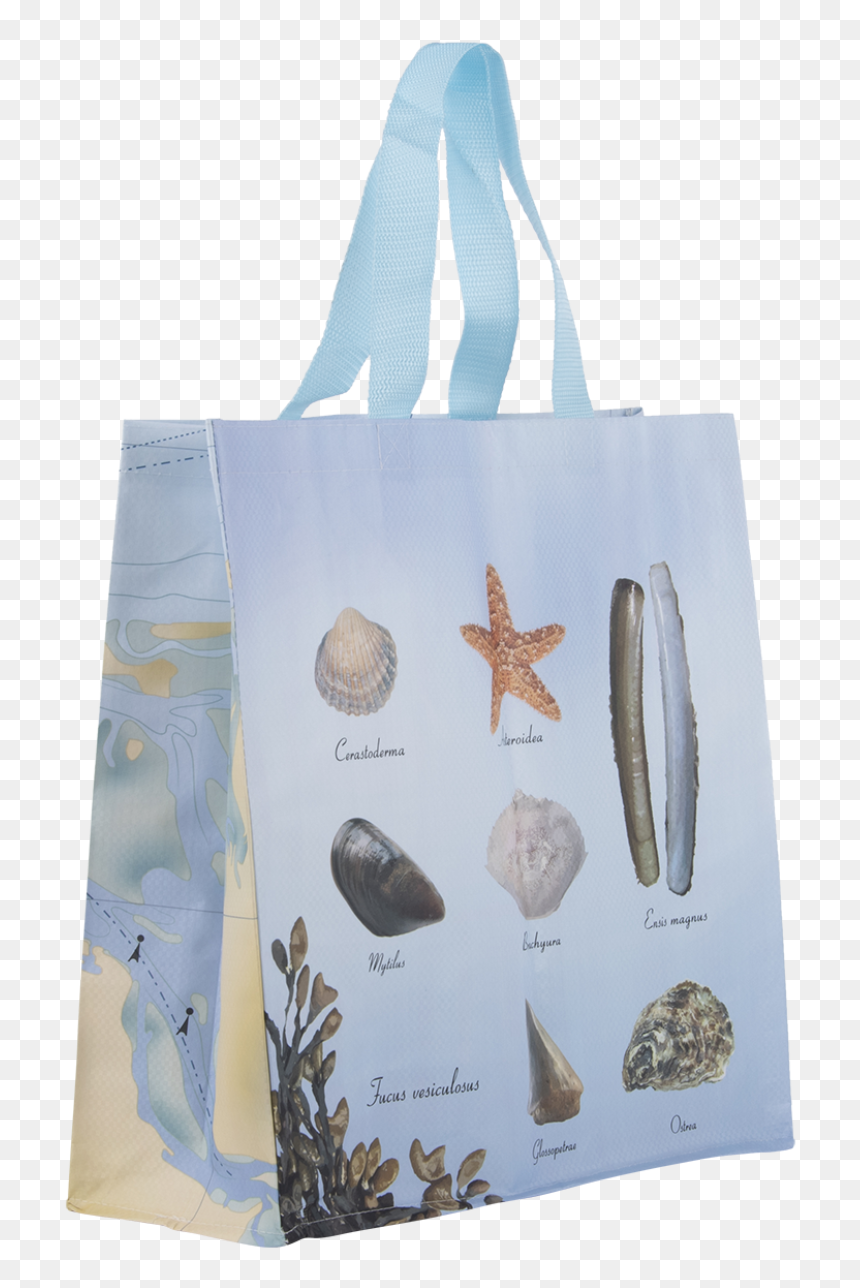 Beach Shopping Bag L - Tote Bag, HD Png Download - dollar bag png