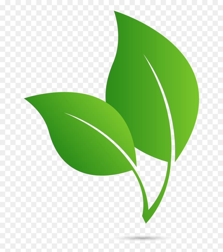 Library Endowment Donation - Illustration, HD Png Download - leaves logo png