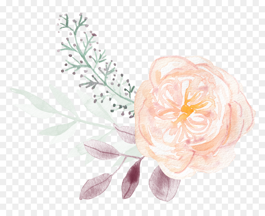 #boquet #bouquet #watercolor #watercolour #flowers - Rose, HD Png Download - boquet png
