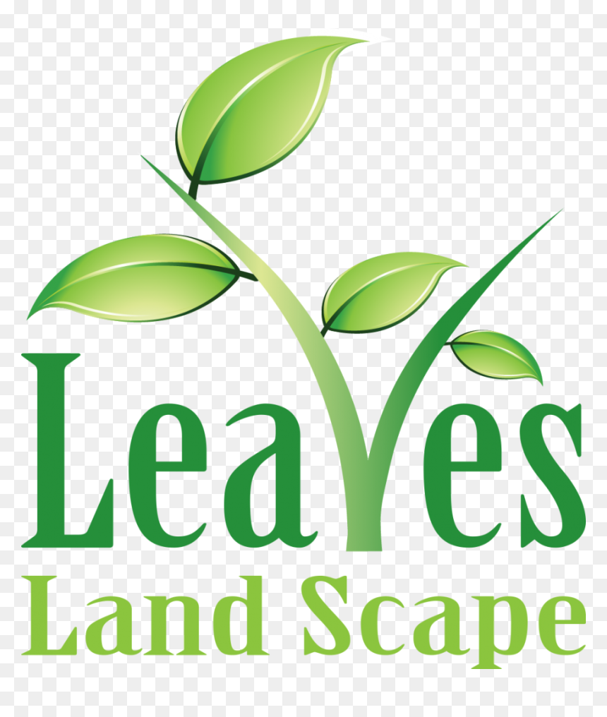 Leaves Egypt - Graphic Design, HD Png Download - leaves logo png
