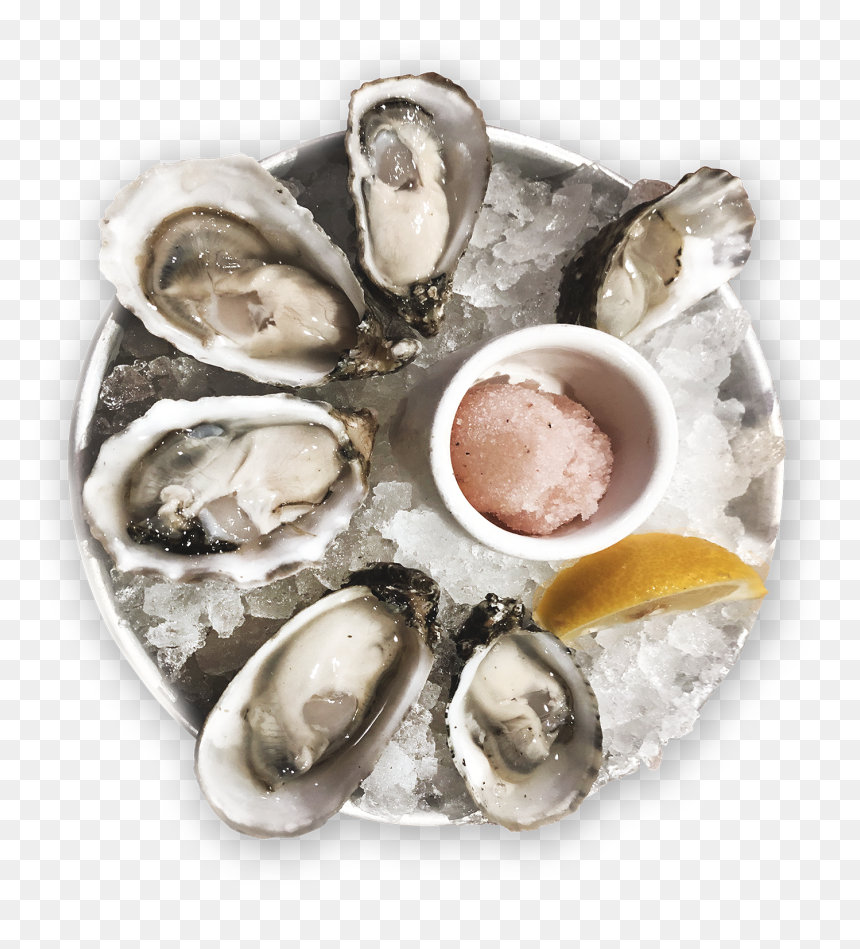 Tiostrea Chilensis, HD Png Download - oysters png