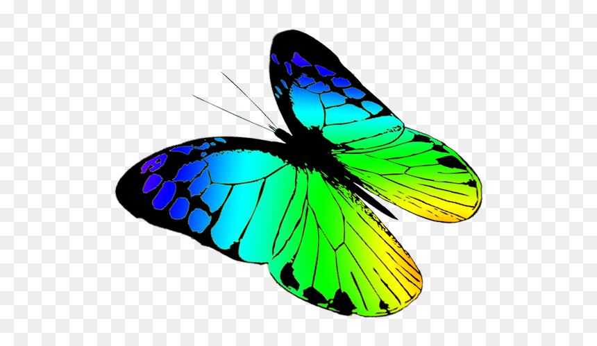 Free Butterflies Drawing - Green Butterfly Flying Drawing, HD Png Download - blue butterfly flying png