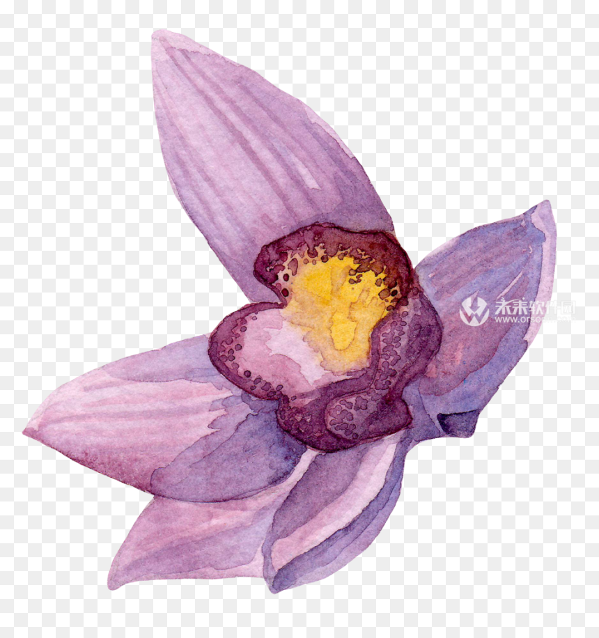 Creativemarket Watercolor Orchid Flowers Clip Art 效果图 - Transparent Orchid Watercolor, HD Png Download - flowers bunch png