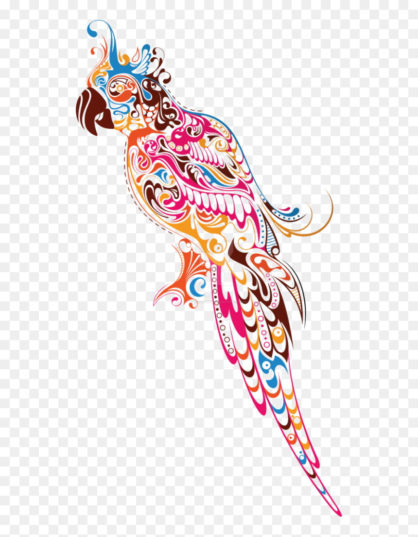 Colourful Png, Transparent Png - colourful png
