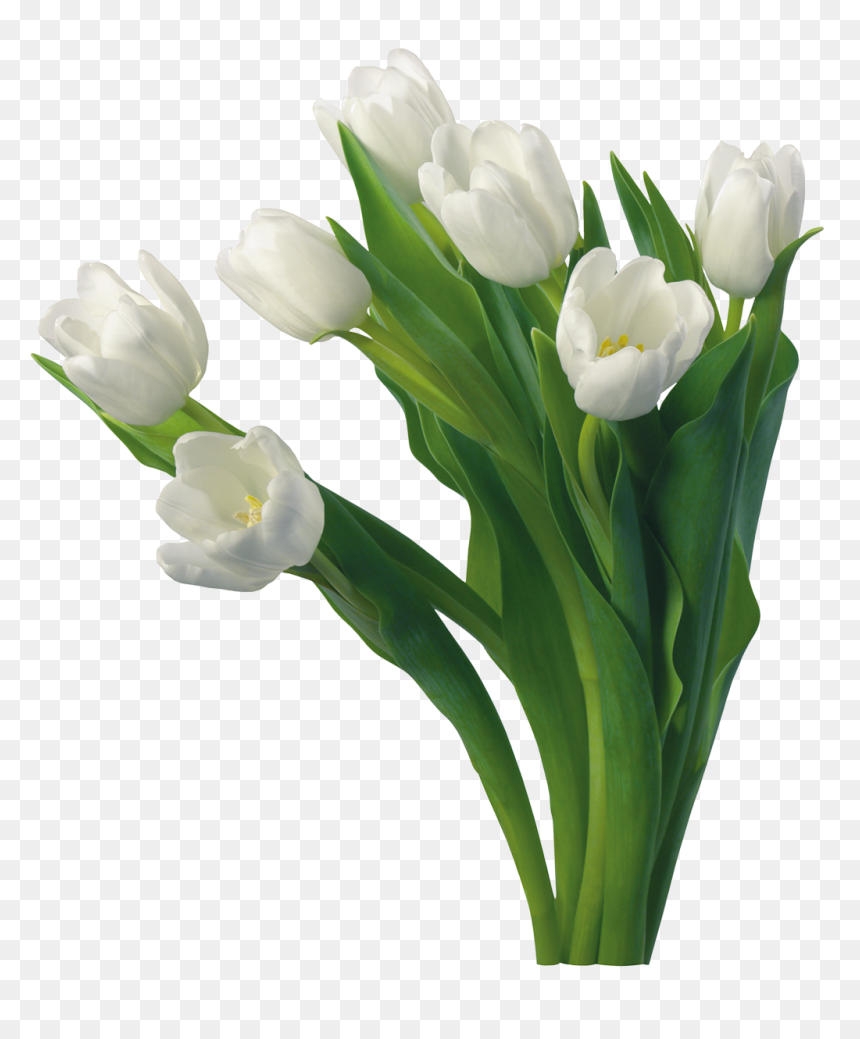 Thumb Image - Rose Good Morning Images Hd, HD Png Download - flowers bunch png