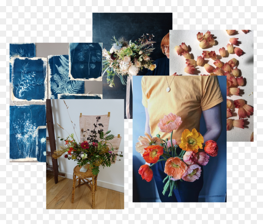 Newsletter-collage - Bouquet, HD Png Download - flowers bunch png