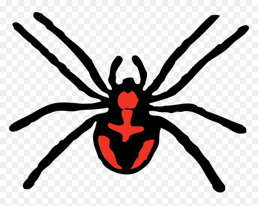 Spider Free Content Clip Art - Spider Red Clipart, HD Png Download - horror background png