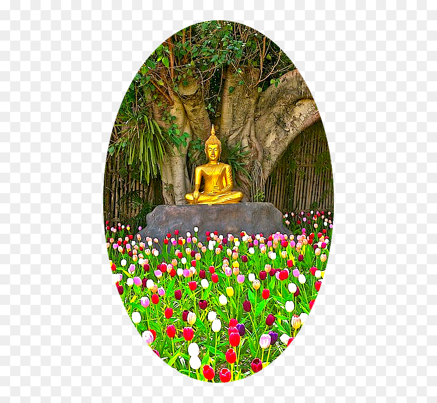 Budha Png, Transparent Png - budha png