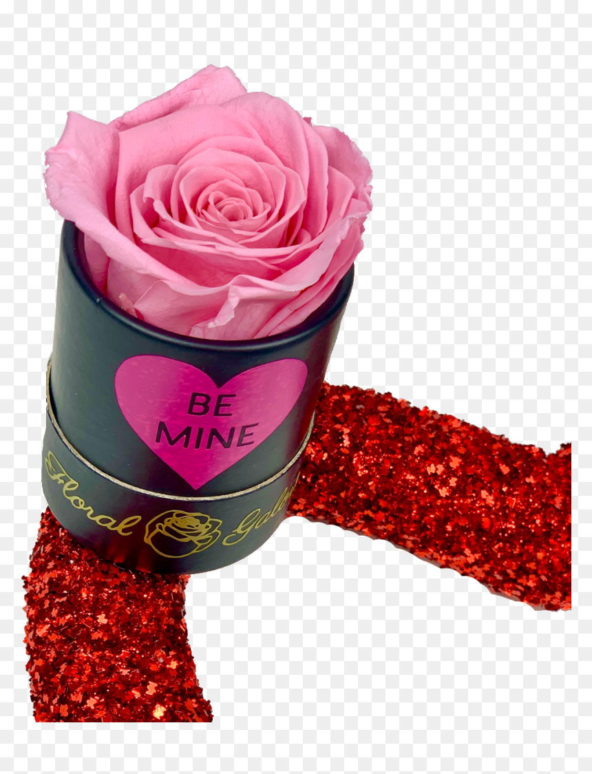 Garden Roses, HD Png Download - single rose flower png