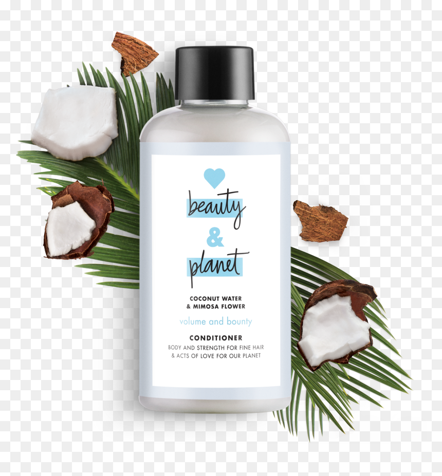 Love Beauty And Planet Coconut Shampoo, Transparent, HD Png Download - ashoka tree png