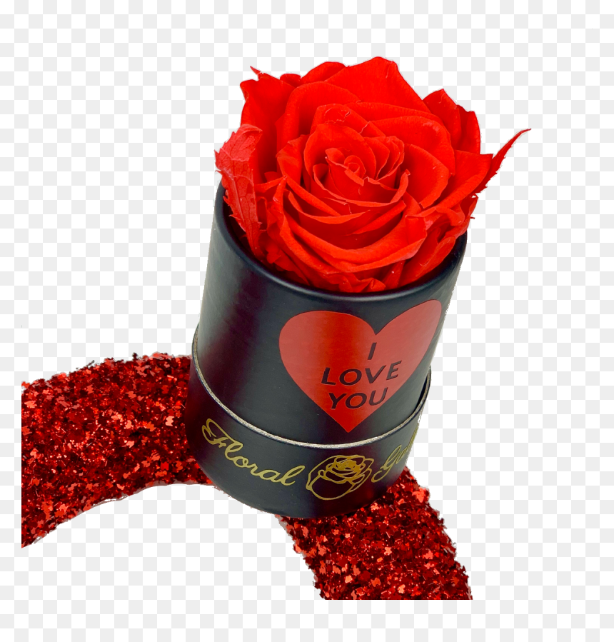 Garden Roses, HD Png Download - single rose flower png