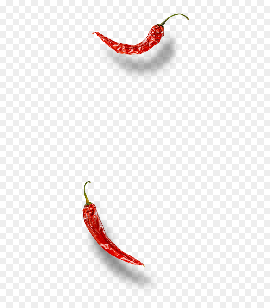 Illustration, HD Png Download - single green chilli png