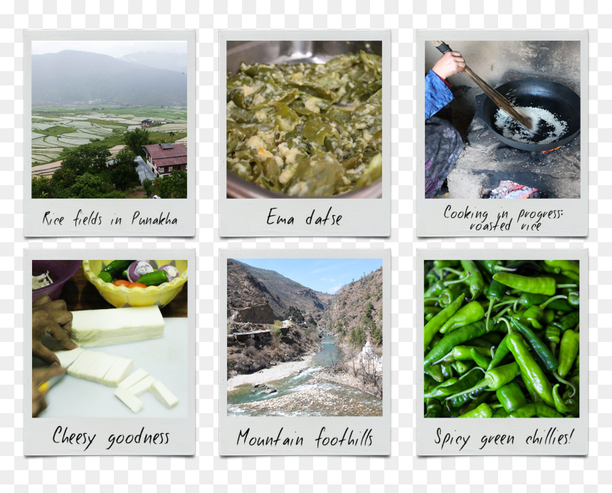 Bhutanese Roasted Vegetable Chilli Cheese Soup - Vegetable, HD Png Download - single green chilli png