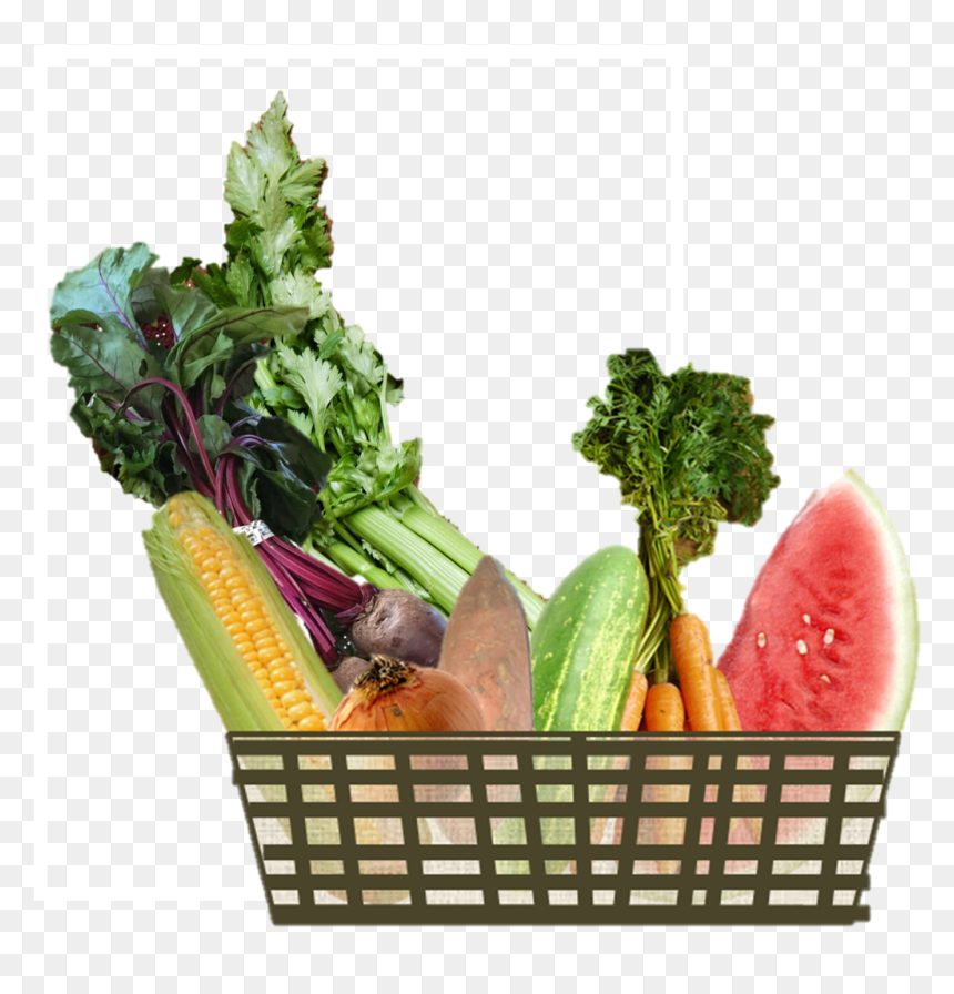 All Our Eggs Are In Too Few Baskets - Basket Of Crops, HD Png Download - vegetables basket png