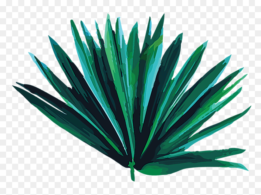 Brisbane , Png Download - Grass, Transparent Png - real leaves png