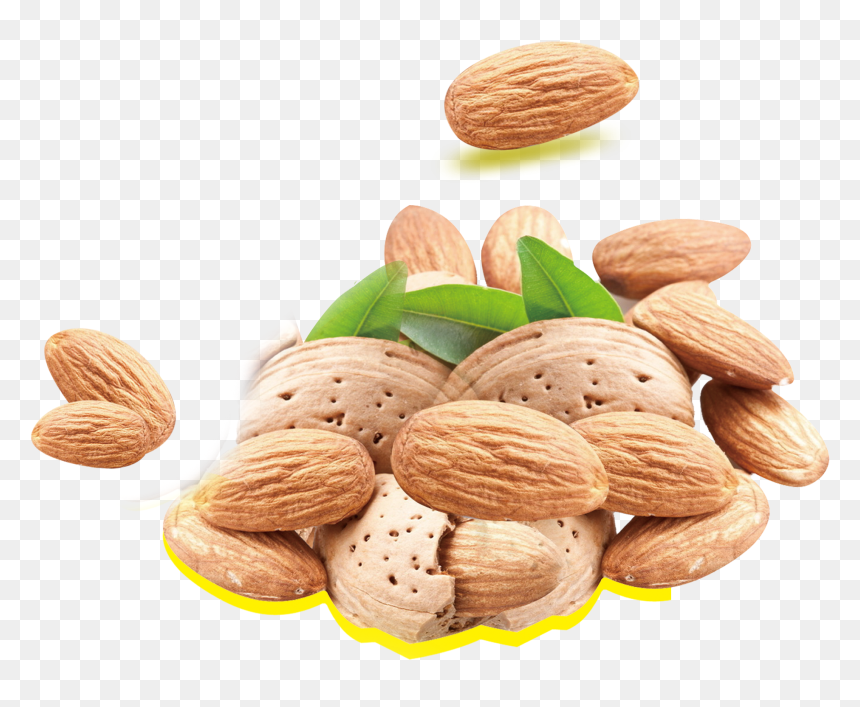 Almond Milk Nutrient Nutrition Fat Nuts - Almond, HD Png Download - dry fruit png