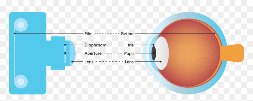Circle, HD Png Download - beautiful eye png