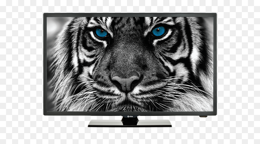 Tv Estar Ledtv32d4t2, HD Png Download - led tv png image