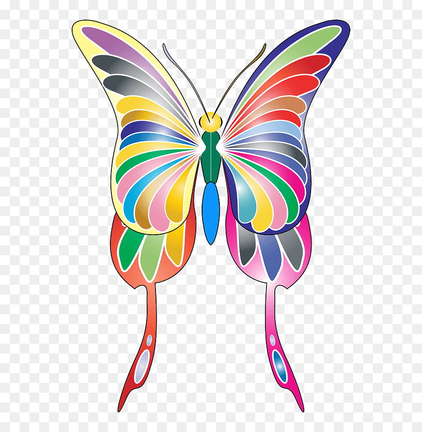 Colourful Butterfly Clipart - Butterflies, HD Png Download - colourful png