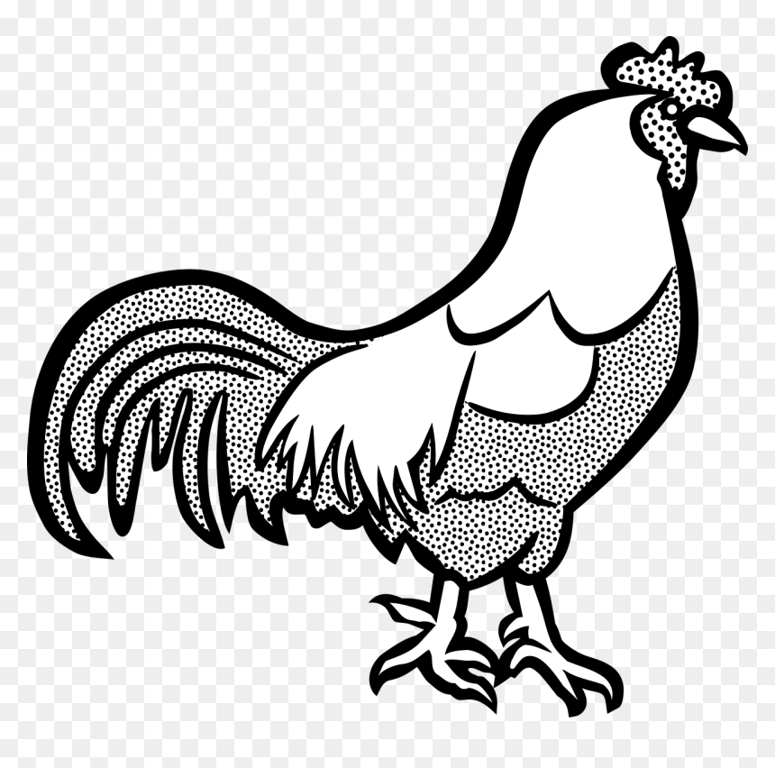 Black And White Image Of A Chicken - Cock Black And White Clipart, HD Png Download - white hen png