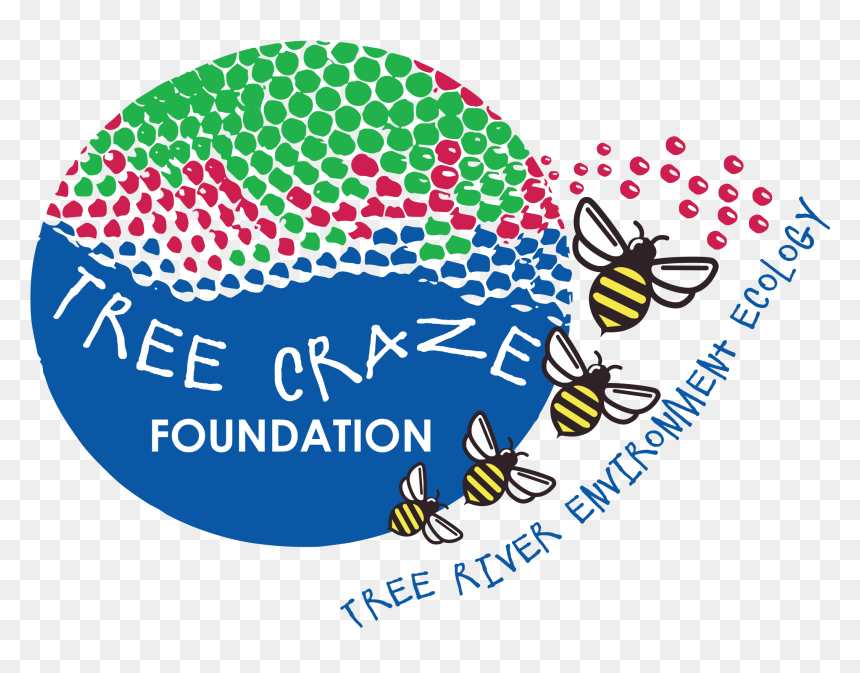 Tree Craze Foundation, HD Png Download - ashoka tree png