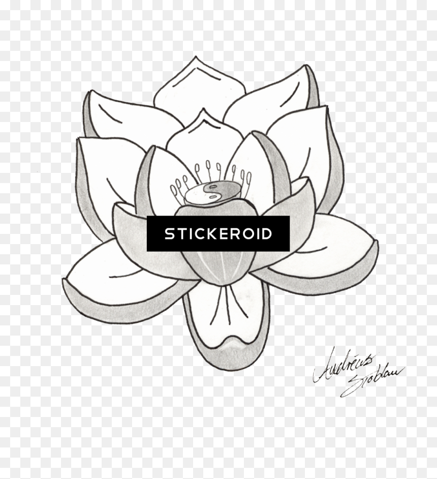 Lotus Tattoos Png Transparent Images - Line Art, Png Download - lotus png images