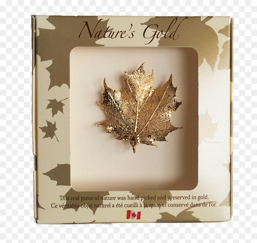 Real Maple Leaf Gold, HD Png Download - real leaves png