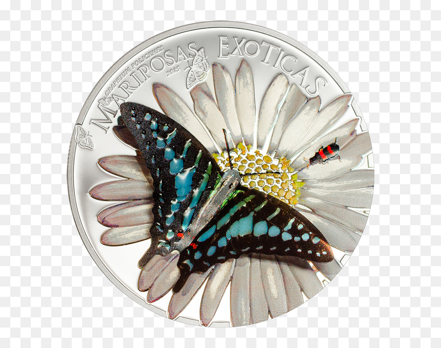 Equatorial Guinea 2015 1000 Francos Exotic Butterflies - Coins Butterfly, HD Png Download - butterfly png 3d images