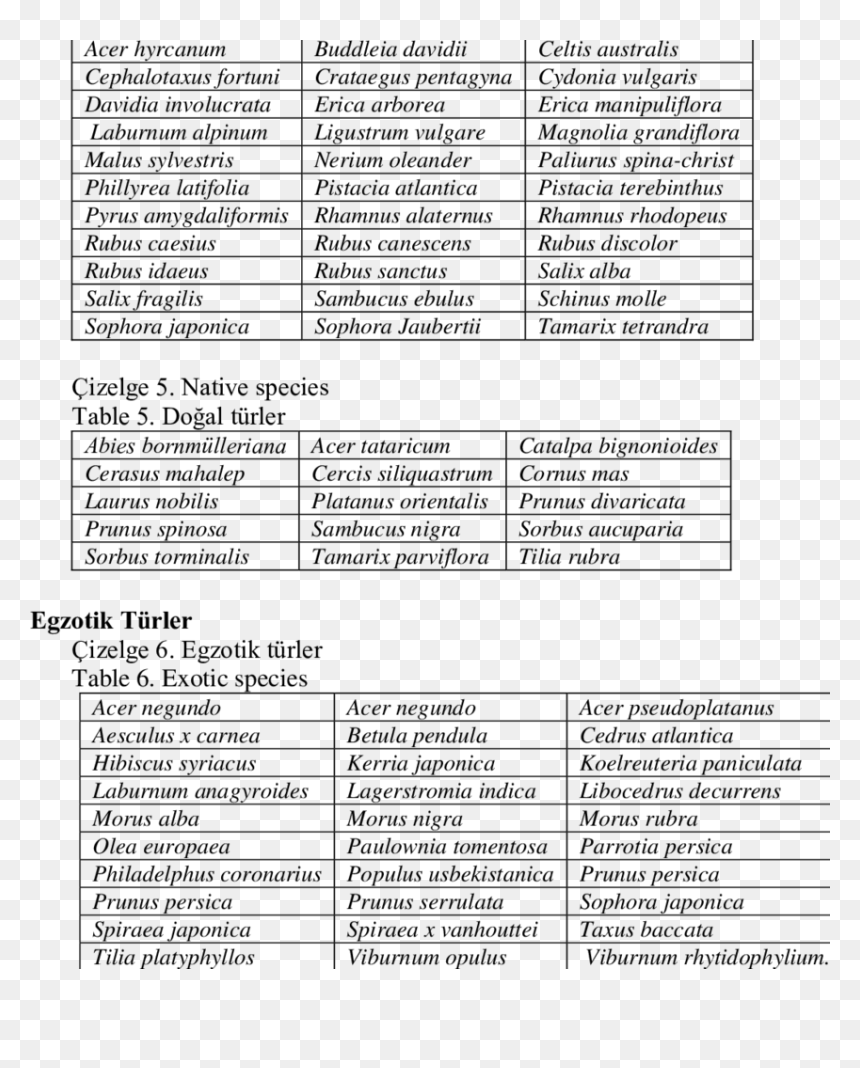 Document, HD Png Download - shrubs plan png