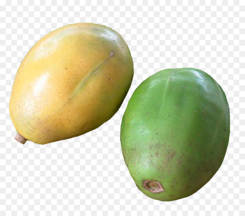Spondias - Papaya, HD Png Download - raw mango png