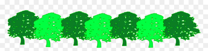 Oak Tree Silhouette, HD Png Download - green trees png