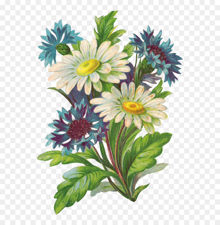Igaz Ember Hitből Él, HD Png Download - gamla flower png