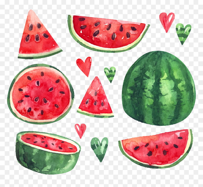 Summer Citrullus Ice Euclidean Vector Watermelon Lanatus, HD Png Download - water melon png