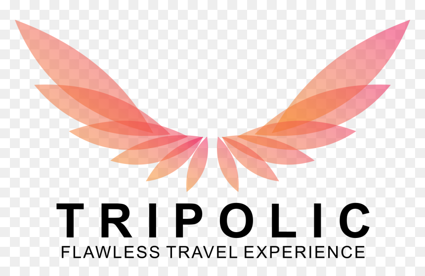 Tripolic - Nadarya Aviation Center Logo, HD Png Download - mangal ghat png
