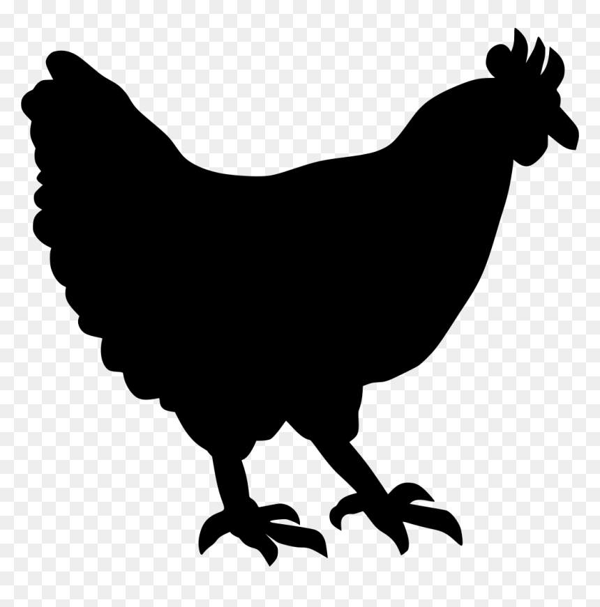 Hen Clipart Png, Transparent Png - white hen png