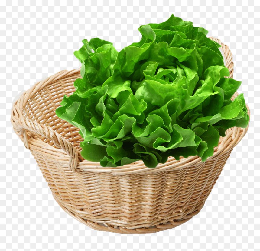 Vegan Cruelty To Vegetables, HD Png Download - vegetables basket png