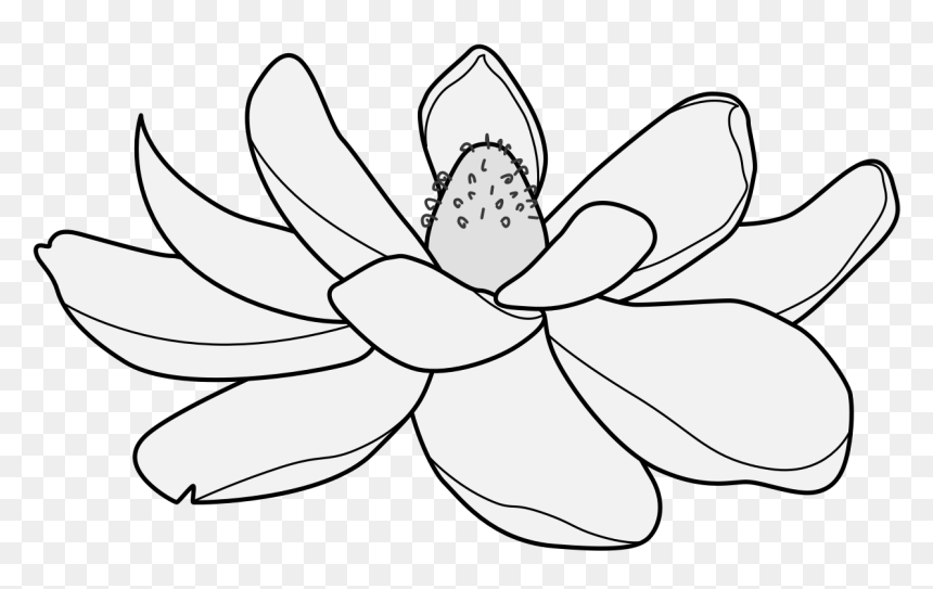 Lotus , Png Download - Lotus, Transparent Png - lotus png images