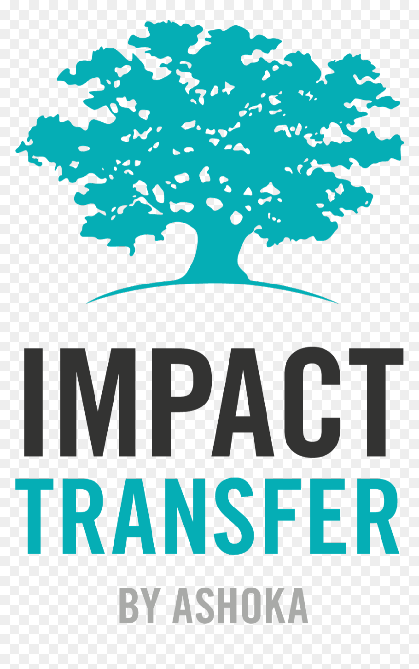 Mnac, HD Png Download - ashoka tree png
