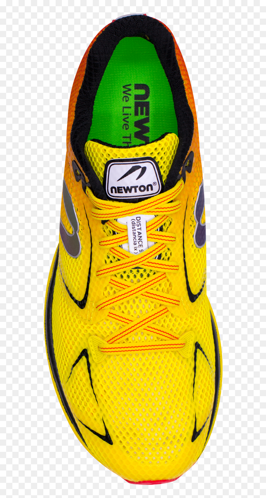Sneakers, HD Png Download - sport shoes png